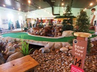 Picture of Golf Zone